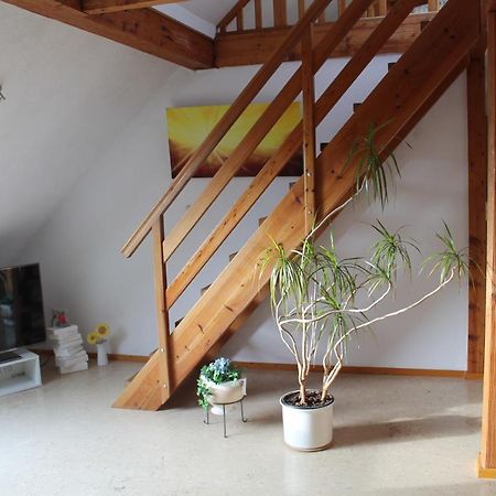 Ferienwohnung Im Galerie-Haus Urbar  Dış mekan fotoğraf